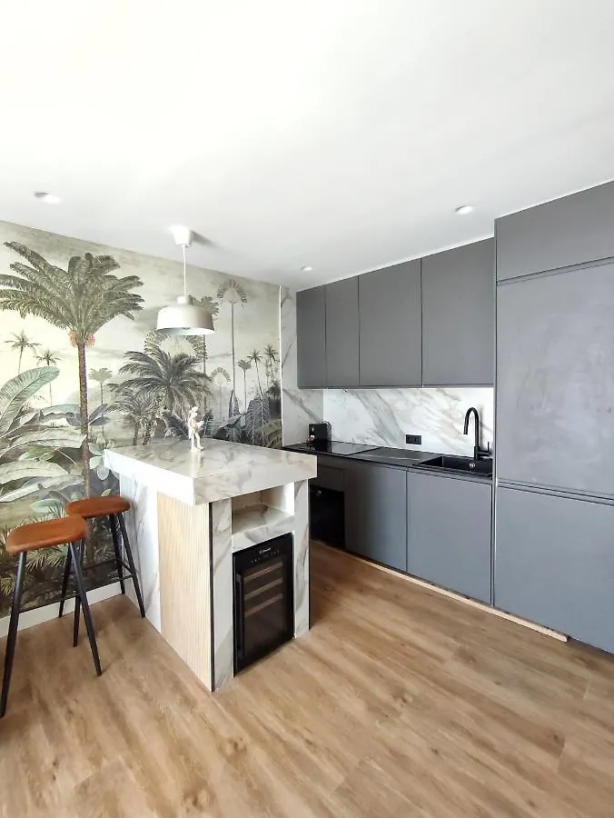 Super Luxury Apartment Ocean View Las Americas Costa Adeje 0*, Costa Adeje (Tenerife)